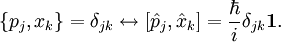 \{p_j,x_k\}=\delta_{jk} \leftrightarrow [\hat{p}_j,\hat{x}_k]= \frac{\hbar}{i} \delta_{jk}\mathbf{1}.