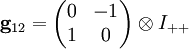 \mathbf g_{12}=\begin{pmatrix}0&-1\\1&0\end{pmatrix} \otimes I_{++}