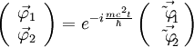 \left( \begin{array}{c} \vec \varphi_1 \\ \vec \varphi_2 \end{array}  \right) = e^{-i \frac{mc^2t}{\hbar}} \left( \begin{array}{c} \vec{\tilde \varphi_1} \\ \vec{\tilde \varphi_2} \end{array} \right)