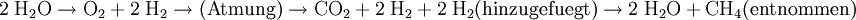 \mathrm{2\;H_2O \rightarrow O_2 + 2\;H_2 \rightarrow (Atmung) \rightarrow CO_2 + 2\;H_2 + 2\;H_2 (hinzugefuegt) \rightarrow 2\;H_2O + CH_4 (entnommen)}